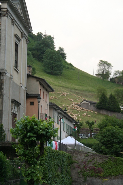 Immagine