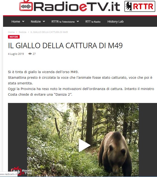 Spray anti-orsi nel centro di Roma -  Il primo quotidiano  on line di Roma Nord